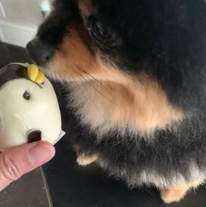 Meet your Posher, Tina